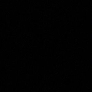 Meet your Posher, Allie